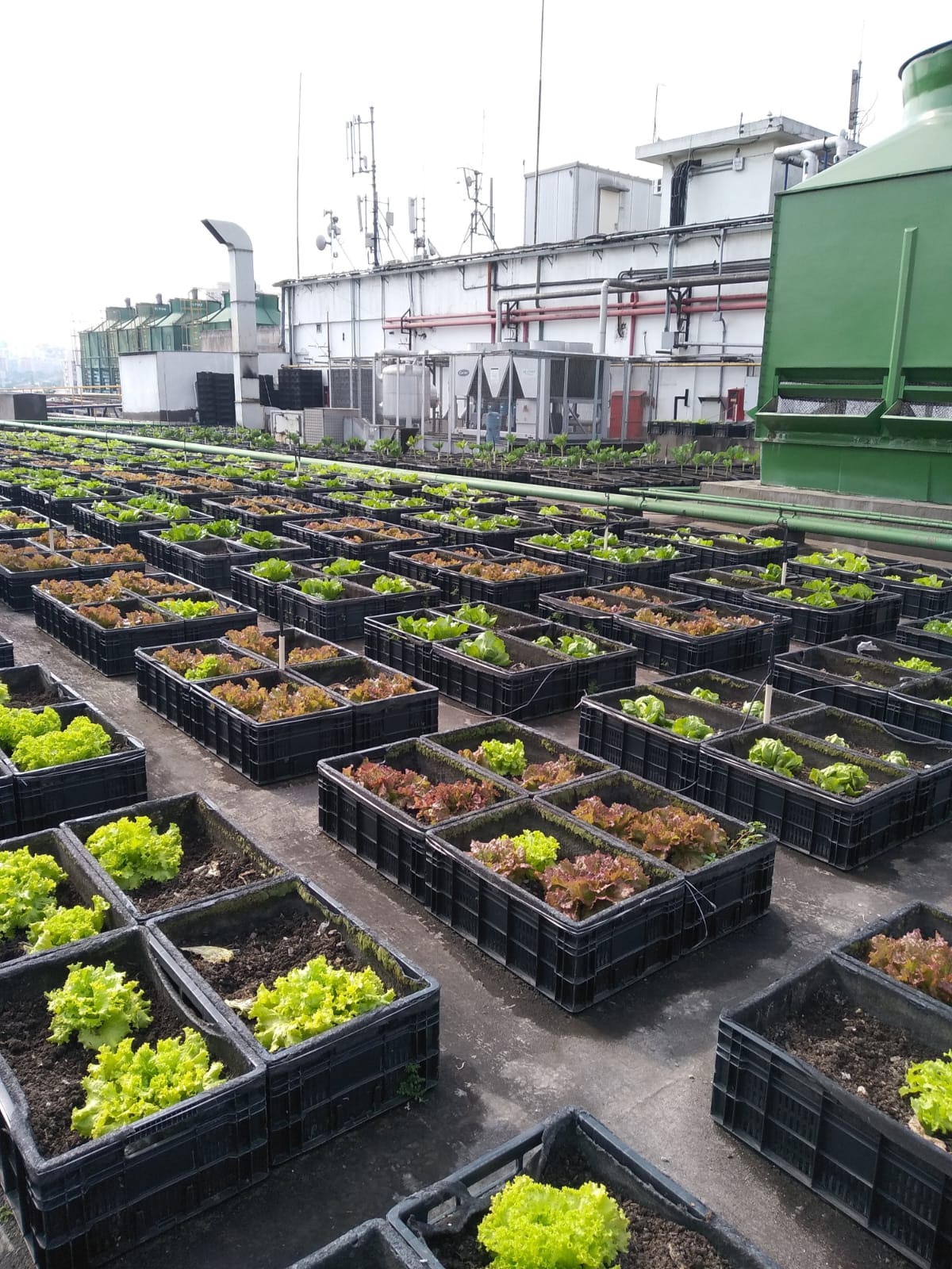 Escola de Moda - Foto 2