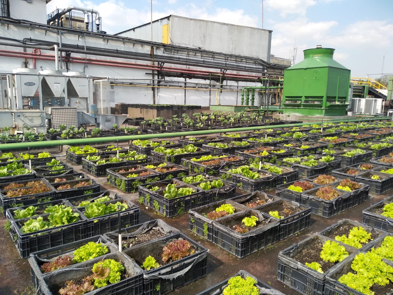 Escola de Moda - Foto 11