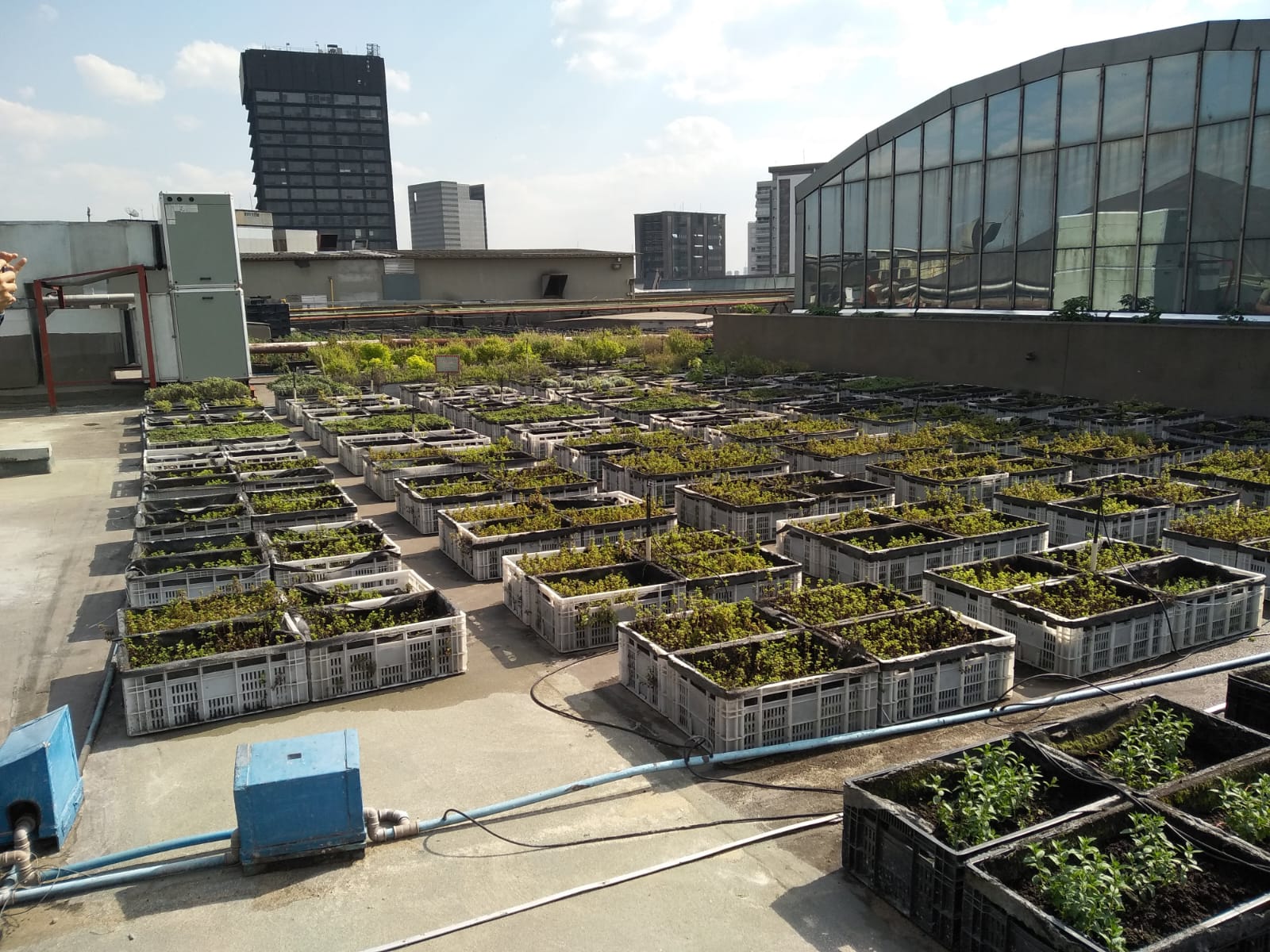 Escola de Moda - Foto 23