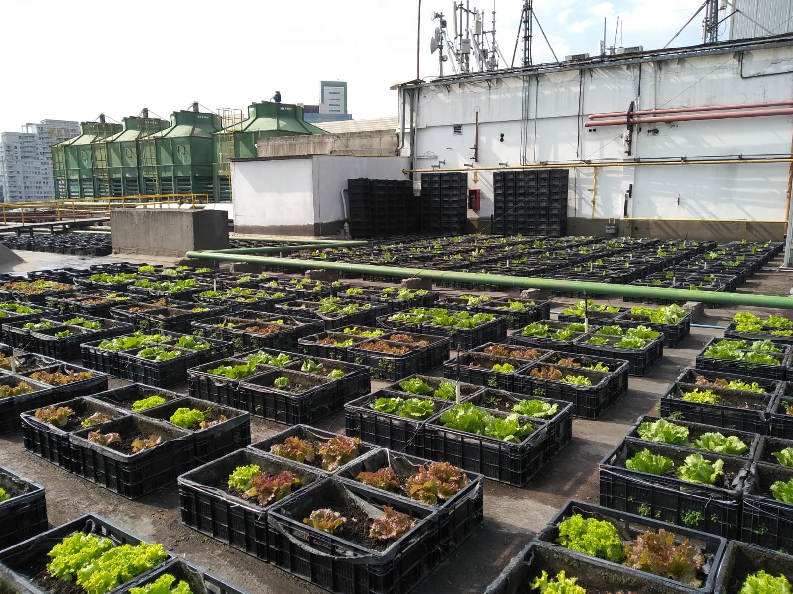 Escola de Moda - Foto 42