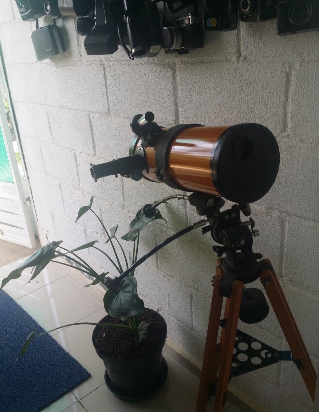 Escola de Moda - Foto 107